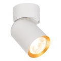 Lampa sufitowa - ANDY SPOT - biały/złoty - 1xGU10 - ML9932