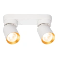 Lampa sufitowa - ANDY SPOT - biały/złoty - 2xGU10 - ML9934