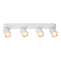 Lampa sufitowa - ANDY SPOT - biały/złoty - 4xGU10 - ML9938