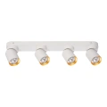 Lampa sufitowa - ANDY SPOT - biały/złoty - 4xGU10 - ML9938