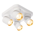 Lampa sufitowa - ANDY SPOT - kwadrat - biały/złoty - 4xGU10 - ML9940