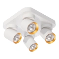 Lampa sufitowa - ANDY SPOT - kwadrat - biały/złoty - 4xGU10 - ML9940