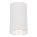 Lampa sufitowa - GENESIS SPOT - biały - 10cm - 1xGU10 - ML0382