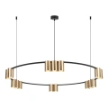 Lampa wisząca - GENESIS (koło) - czarny/złoty - 15xGU10 - ML0378