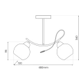 Lampa sufitowa - CONNOR - chrom - 2xE27 - MLP0873 - wymiary
