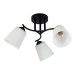 Lampa sufitowa - PAFOS - czarny - 3xE27 - ML2257