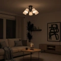 Lampa sufitowa - PAFOS - czarny - 5xE27 - ML2258 - realizacja