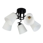 Lampa sufitowa - PAFOS - czarny - 5xE27 - ML2258