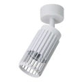 Lampa sufitowa - VERTICAL SPOT - biały - 1xGU10 - ML0304