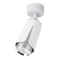 Lampa sufitowa - FLOWER SPOT - biały/chrom - 1xGU10 - ML0272
