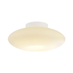 Lampa sufitowa LED ROBIN 14W 3000K - Biały - ML2806
