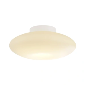 Lampa sufitowa LED ROBIN 14W 3000K - Biały - ML2806