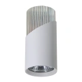 Lampa sufitowa LED NEO Downlight 1xGU10 - Biały / Chrom - ML0285