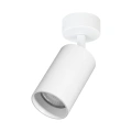 Lampa sufitowa LED SPOTLIGHT PIPE 1xGU10 - Biały - ML1157