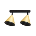 Lampa sufitowa CONE Spot 2xGU10 - Złoty - ML1121