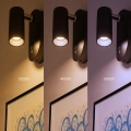 Lampa ścienna - KATORO - czarny - 50lm 3CCT - ML2509