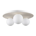 Lampa sufitowa CARTER 3xE14 - Biały - MLP0225 -