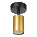Lampa sufitowa - HUDSON czarny/złoty 1xGU10 - MLP0257