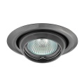 Sufitowa oprawa ARGUS CT-2117-GM - ruchoma - grafitowy