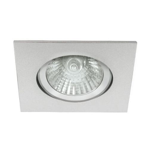 Sufitowa oprawa RADAN CT-DTL50 - ruchoma - aluminium