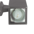 Lampa elewacyjna 1x E27 - ADELA 8001 DG
