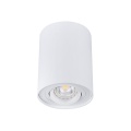 Sufitowa oprawa natynkowa BORD DLP-50-W - ruchoma - biała