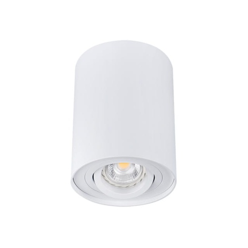 Sufitowa oprawa natynkowa BORD DLP-50-W - ruchoma - biała