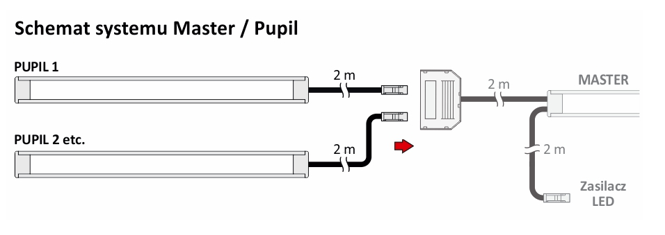 SCHEMAT DZIAŁANIA SYSTEMU PUPIL/MASTER